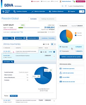 BBVA: net - Posición global